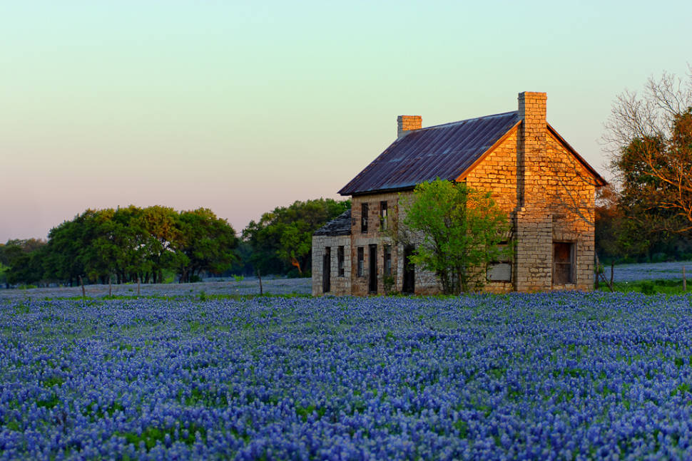 Bluebonnet field north of Marble Falls