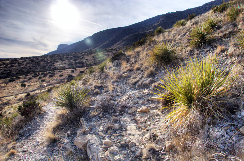 Best time to see Hiking to Guadalupe Peak in Texas