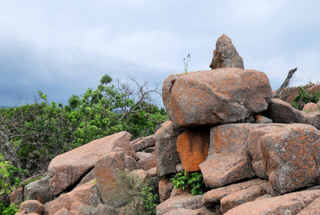 Enchanted Rock