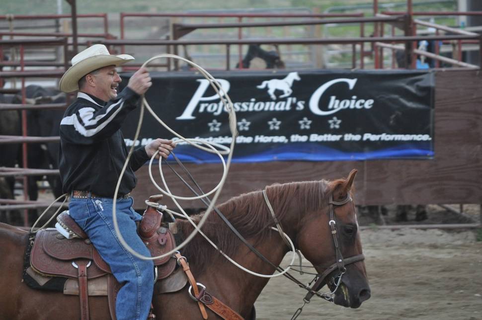 Best time for Rodeo