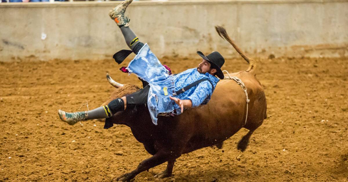 Rodeo in Texas - Best Time