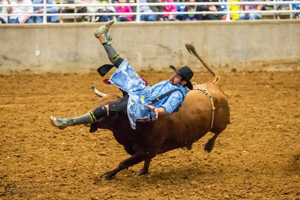 Rodeo in Texas - Best Time