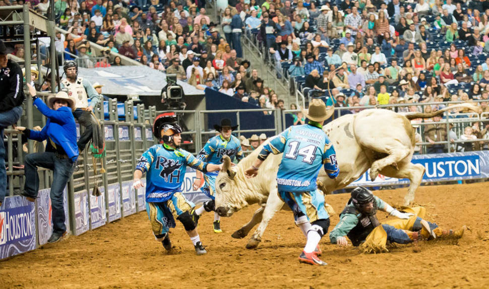 Best time to see Rodeo in Texas