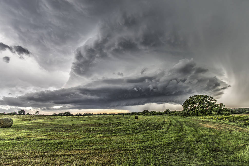 Spring in Texas - Best Season