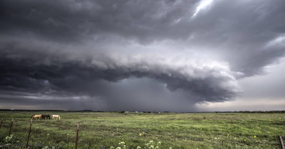 Spring in Texas - Best Time