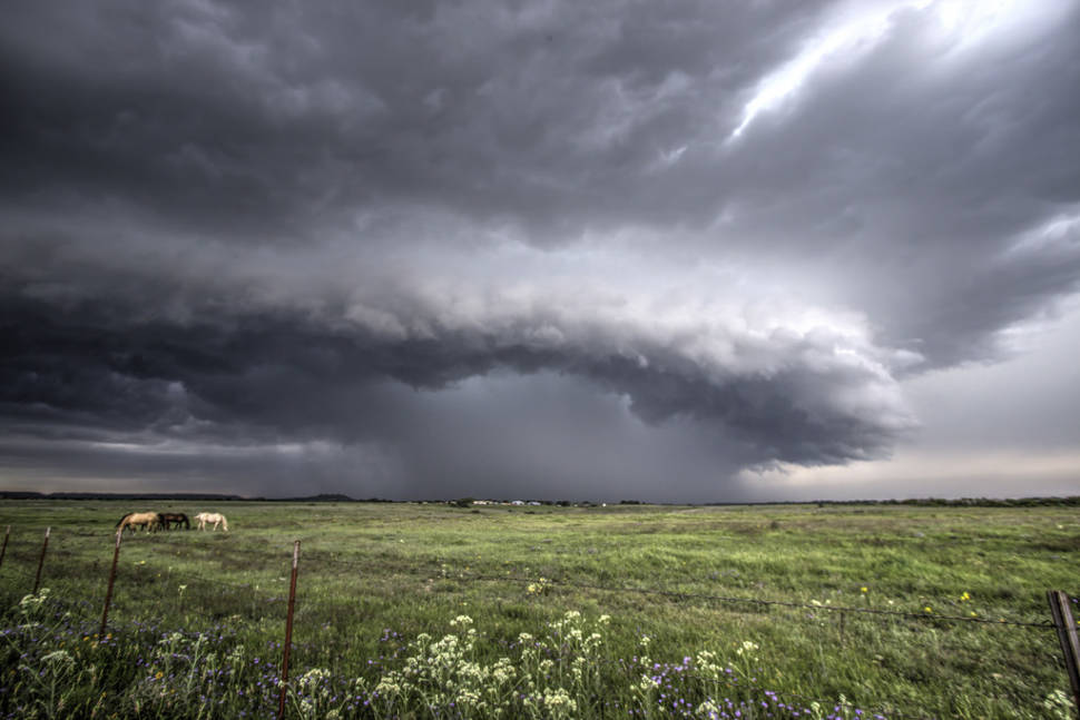 Spring in Texas - Best Time