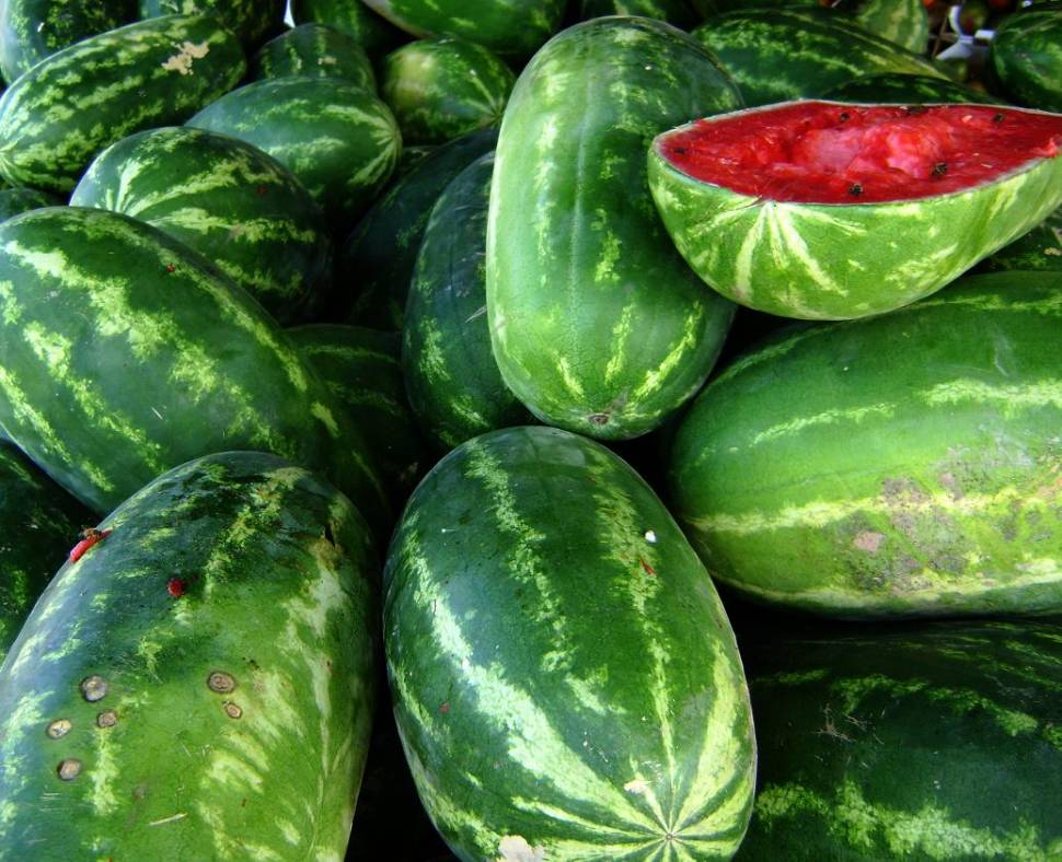 Watermelon in Texas - Best Time