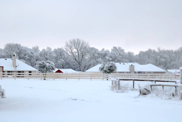 Winter in Texas - Best Season