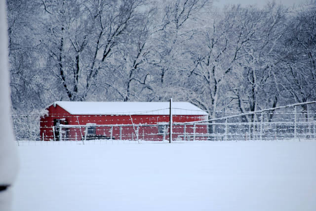 Winter in Texas - Best Time