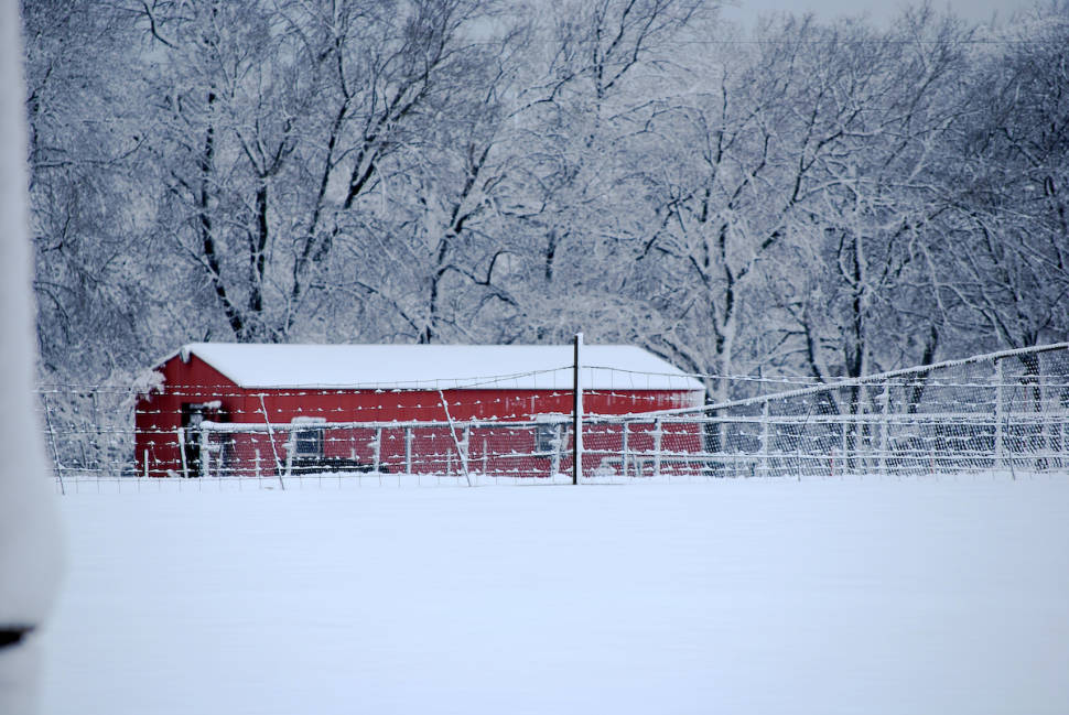 Winter in Texas - Best Time
