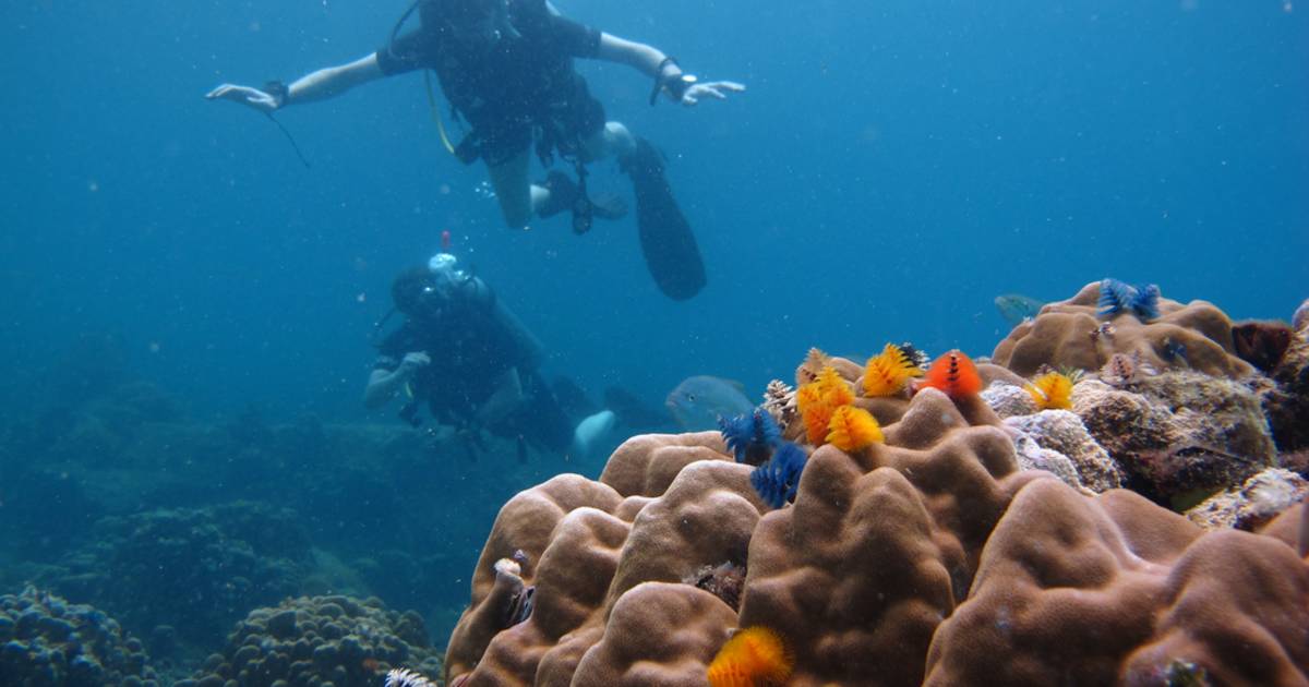 Diving in Thailand - Best Time