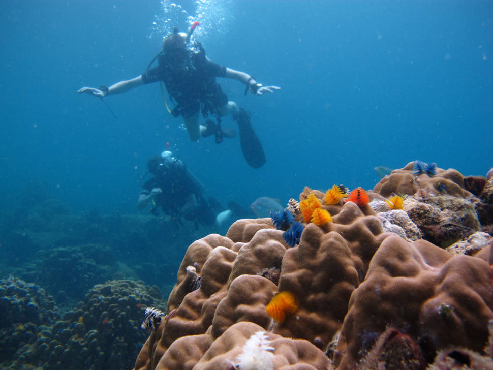 Diving in Thailand - Best Time