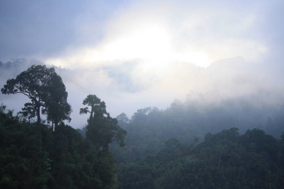 Best time for Cool Season (Winter) in Thailand