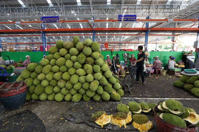 Jackfruit Season in Thailand - Best Time