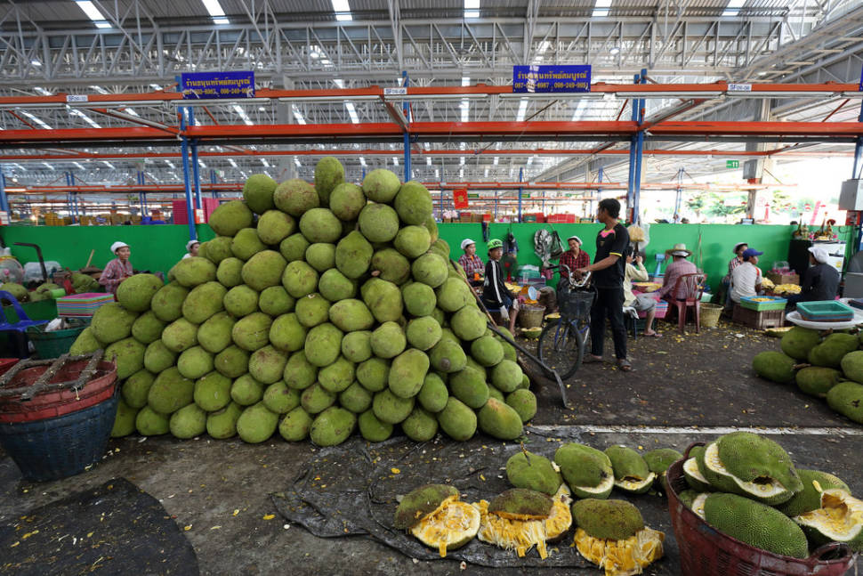 Jackfruit Season in Thailand - Best Time