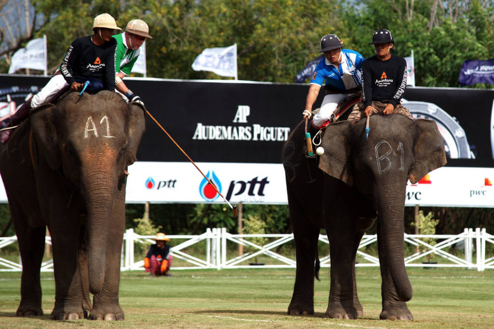 King’s Cup Elephant Polo in Thailand - Best Season