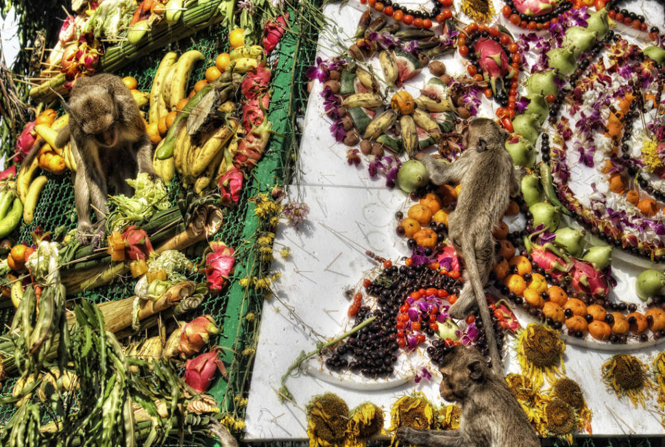 Lopburi Monkey Banquet Festival in Thailand - Best Season