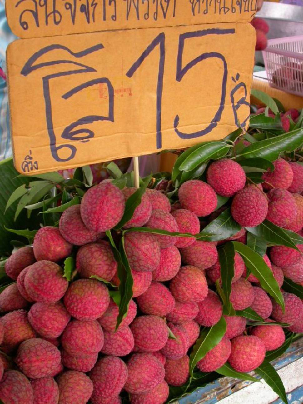 Lychee or Litchi Season in Thailand - Best Season