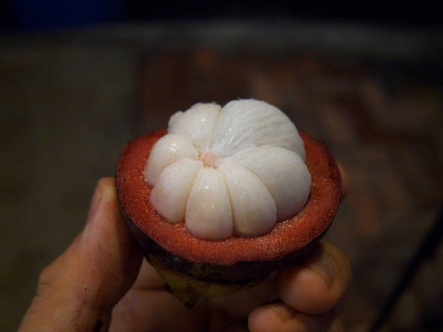 Mangosteen Season in Thailand - Best Time