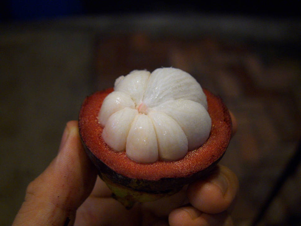 Mangosteen Season in Thailand - Best Time