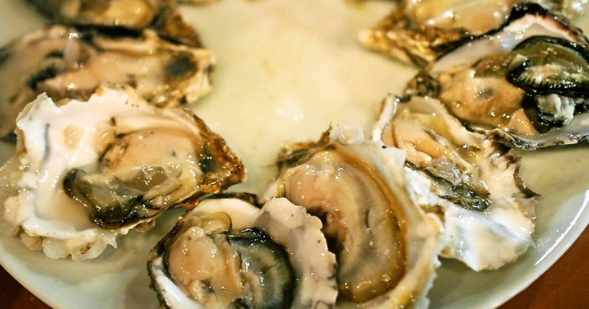 Oysters Harvest in Phuket in Thailand - Best Time