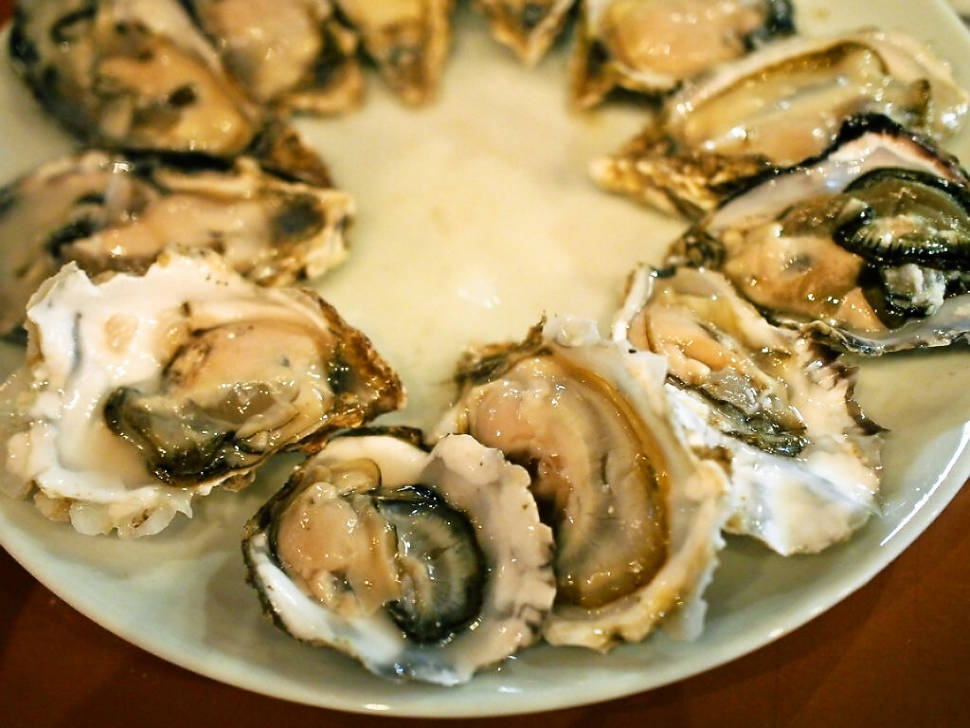 Oysters Harvest in Phuket in Thailand - Best Time