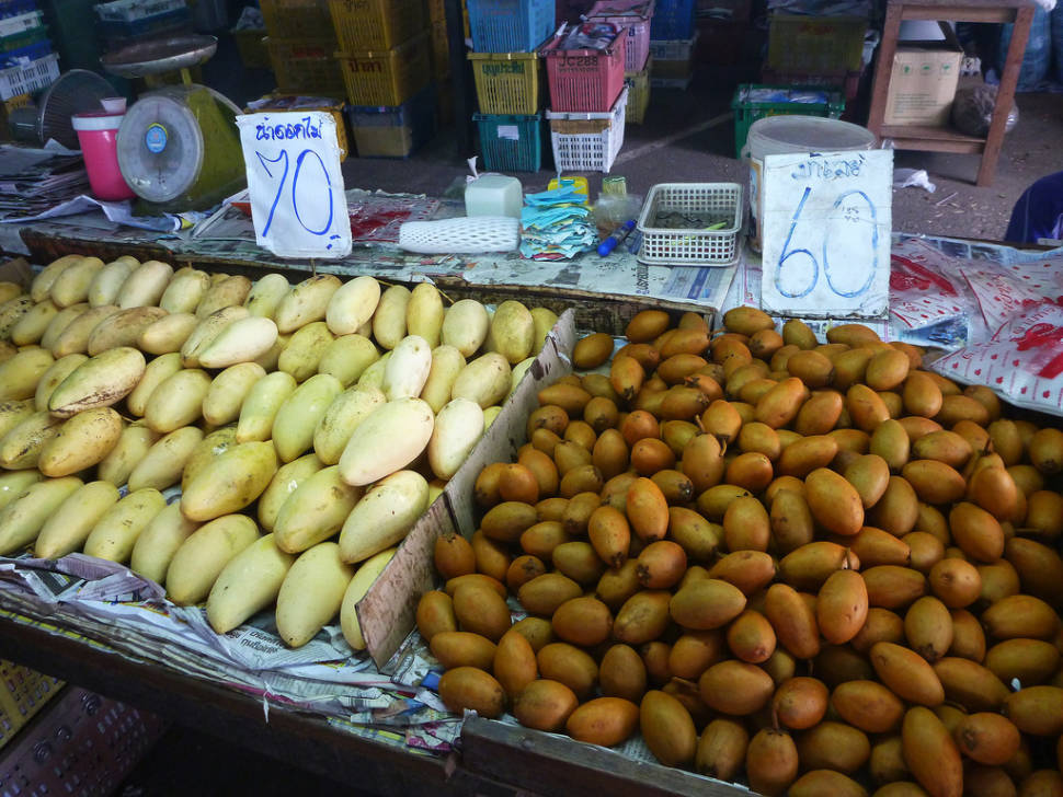 Mango and sapodilla