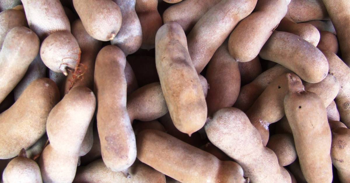 Tamarind Season in Thailand - Best Time