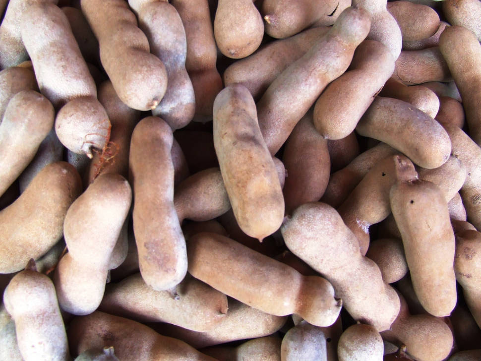 Tamarind Season in Thailand - Best Time