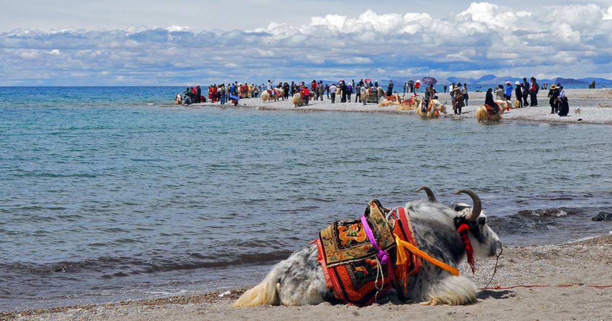 High Season in Tibet - Best Time