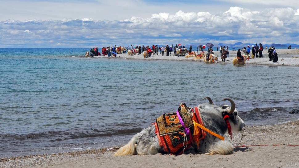 High Season in Tibet - Best Time