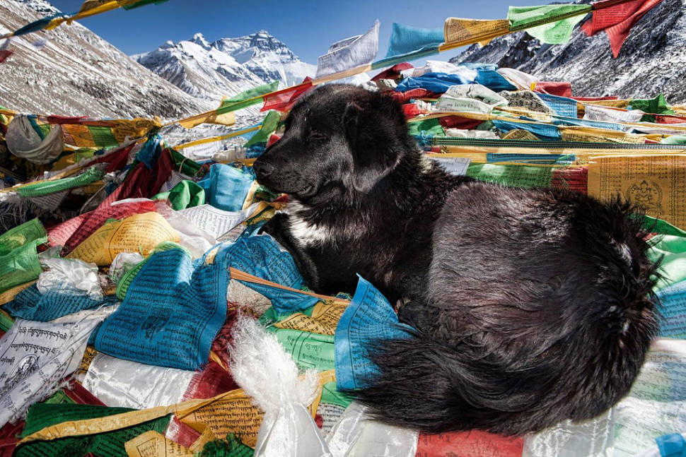 A quiet moment at North Everest Base Camp in Tibet