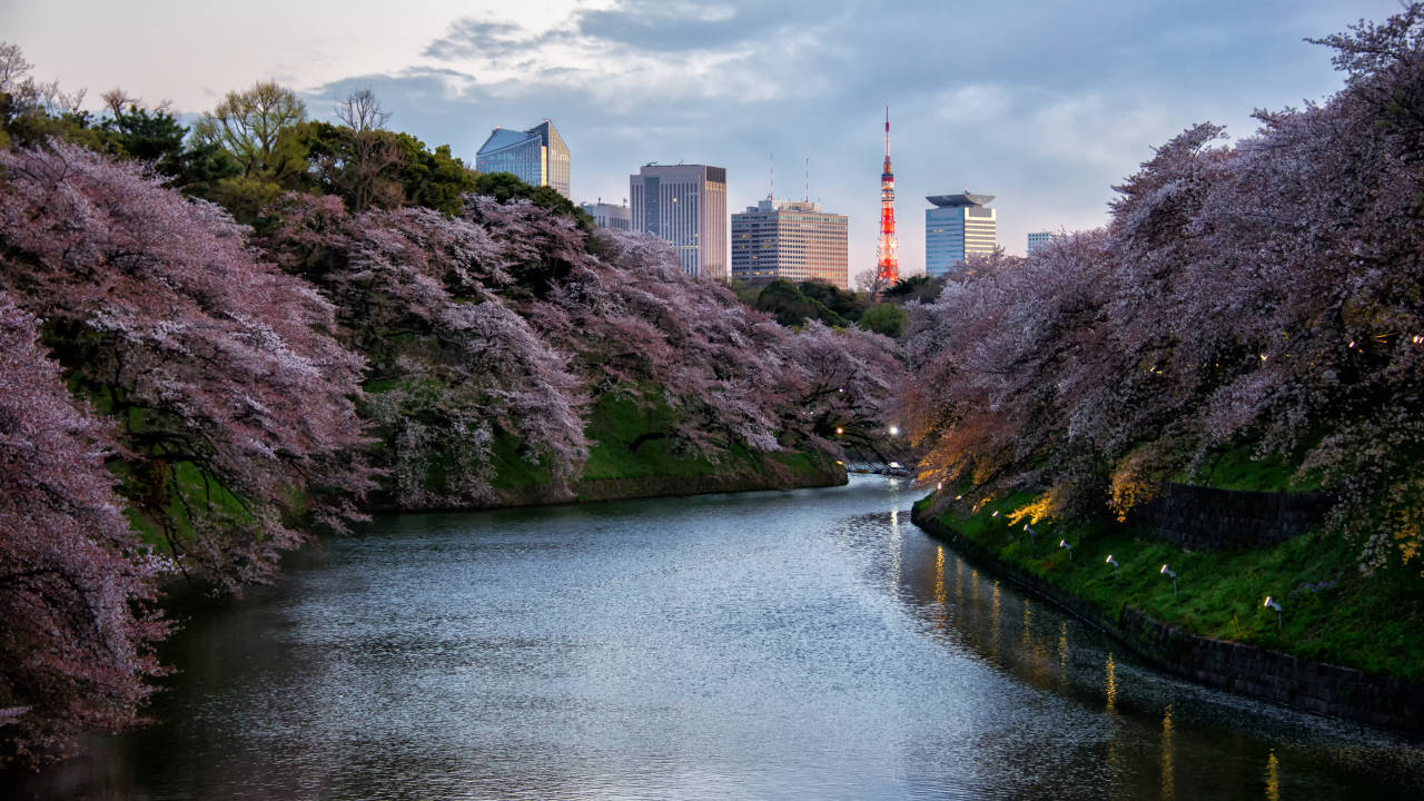 Tokyo