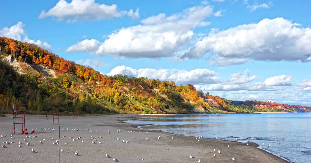 Autumn in Toronto - Best Time