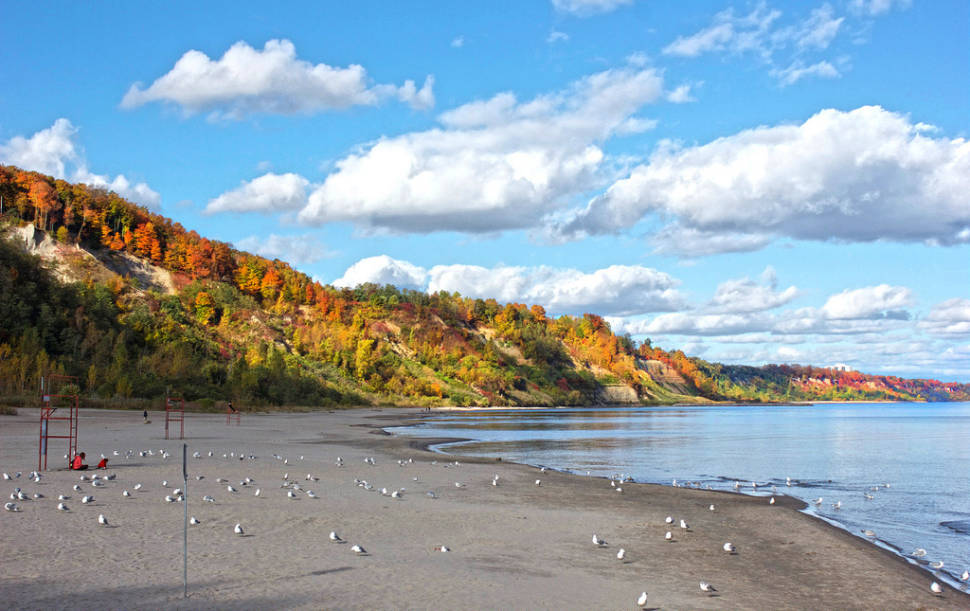 Autumn in Toronto - Best Time