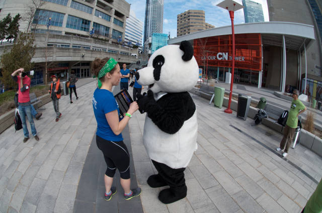 CN Tower Climb in Toronto - Best Season