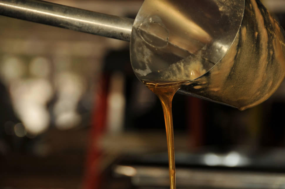 From Sap to Syrup