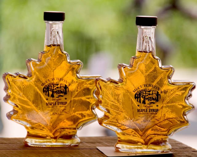Fresh Maple Syrup in Toronto - Best Time