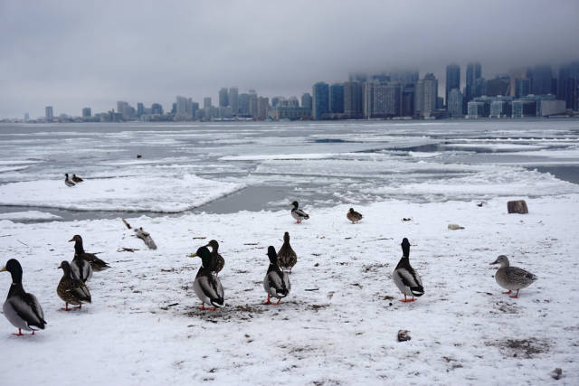 Winter in Toronto - Best Time