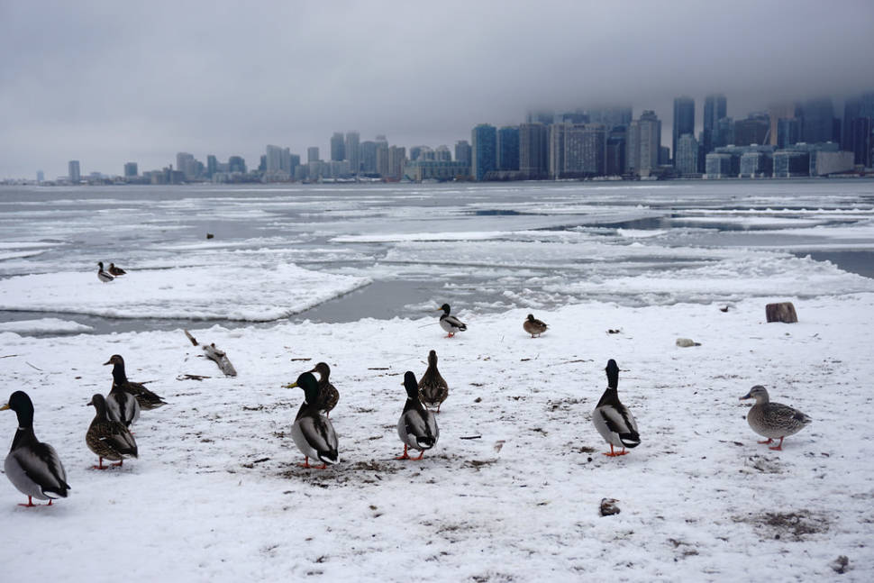 Winter in Toronto - Best Time
