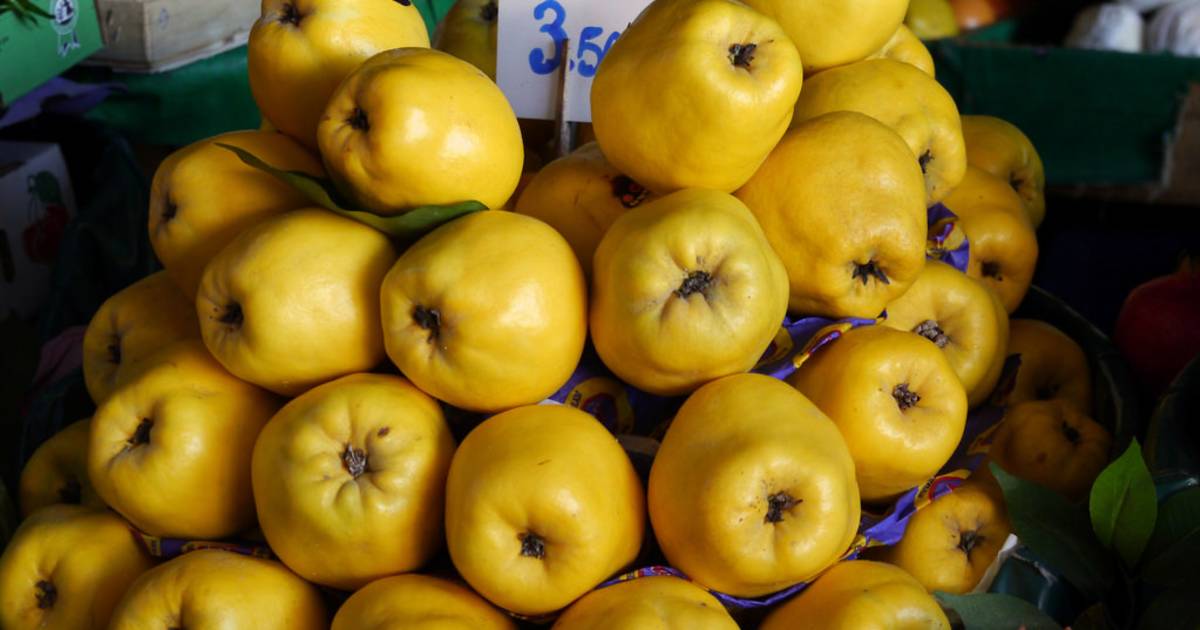 Ayva (Quince) Season in Turkey - Best Time