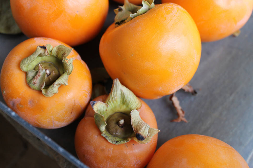 Persimmon Season in Turkey - Best Time