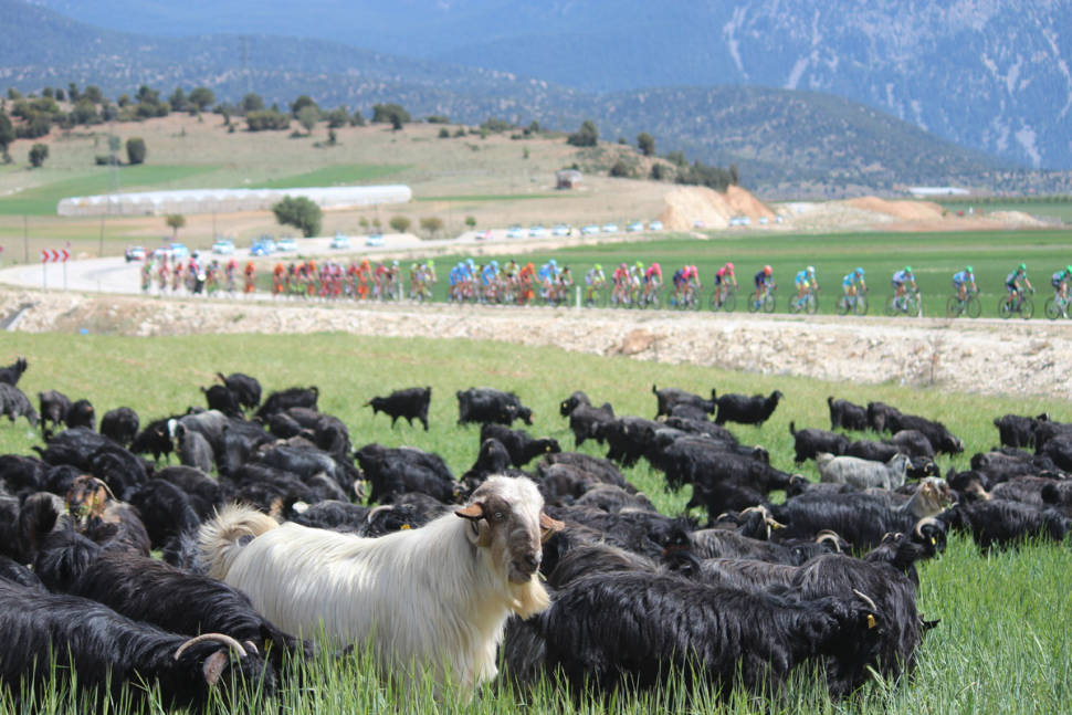 Best time to see Presidential Cycling Tour of Turkey in Turkey