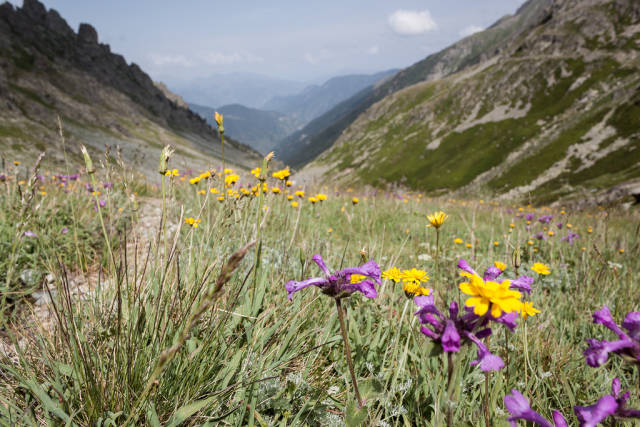 Kaçkar Mountains, Rize Province
