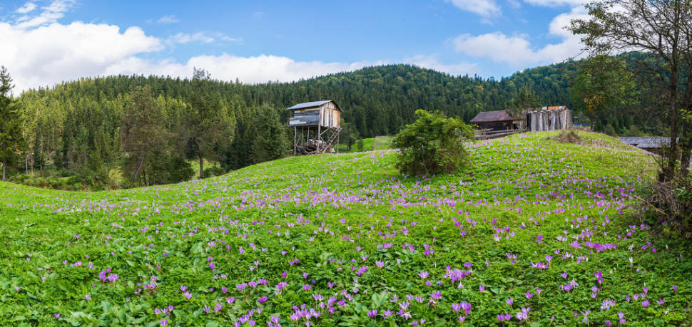 Kalınçam Mh. Tonya, Trabzon, Turkey