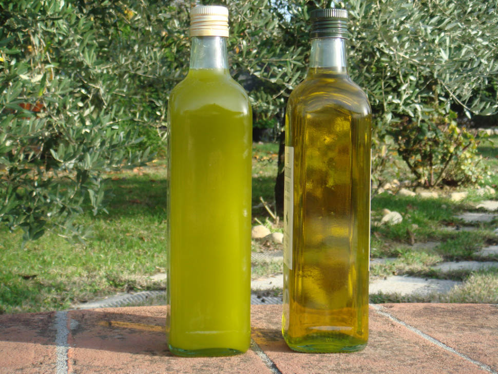 Best time for Olive Harvest