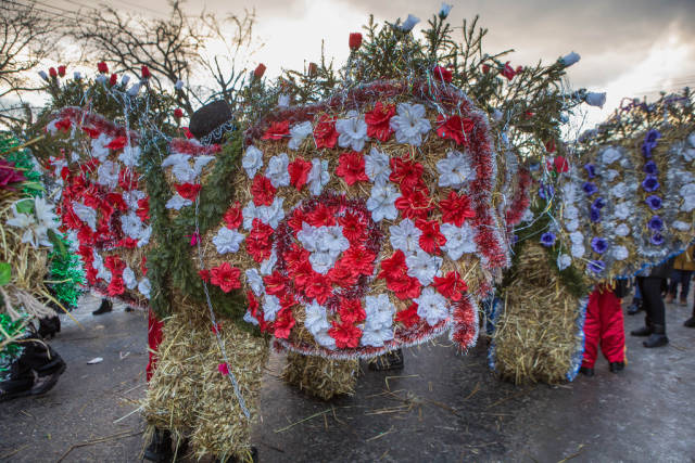 Best time for Krasna Malanka in Ukraine