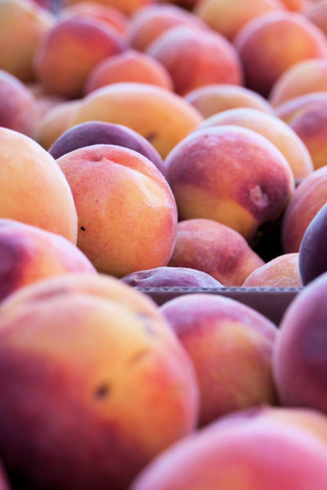 Brigham City Peach Days in Utah - Best Season