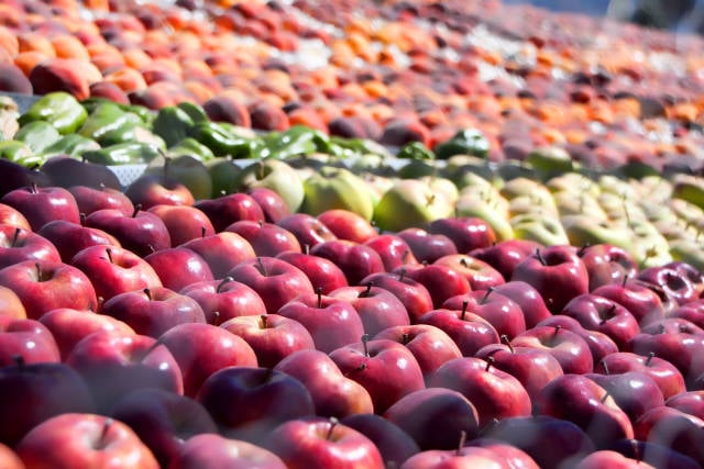Brigham City Peach Days in Utah - Best Time