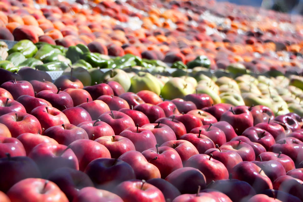Brigham City Peach Days in Utah - Best Time
